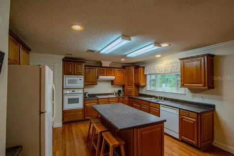 141 SE Maid Marion Lane High Springs FL 32643