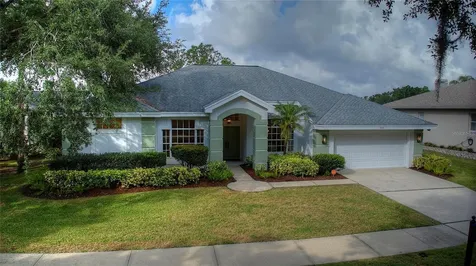 204 Water View Court Safety Harbor FL 34695