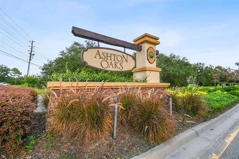 4329 Ashton Meadows Way Wesley Chapel FL 33543