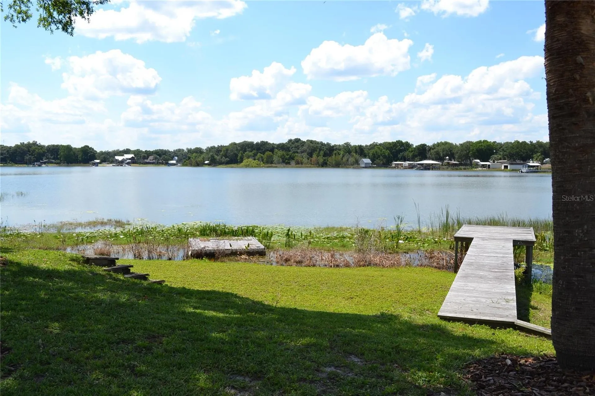 26 SE Ocale Way Summerfield FL 34491