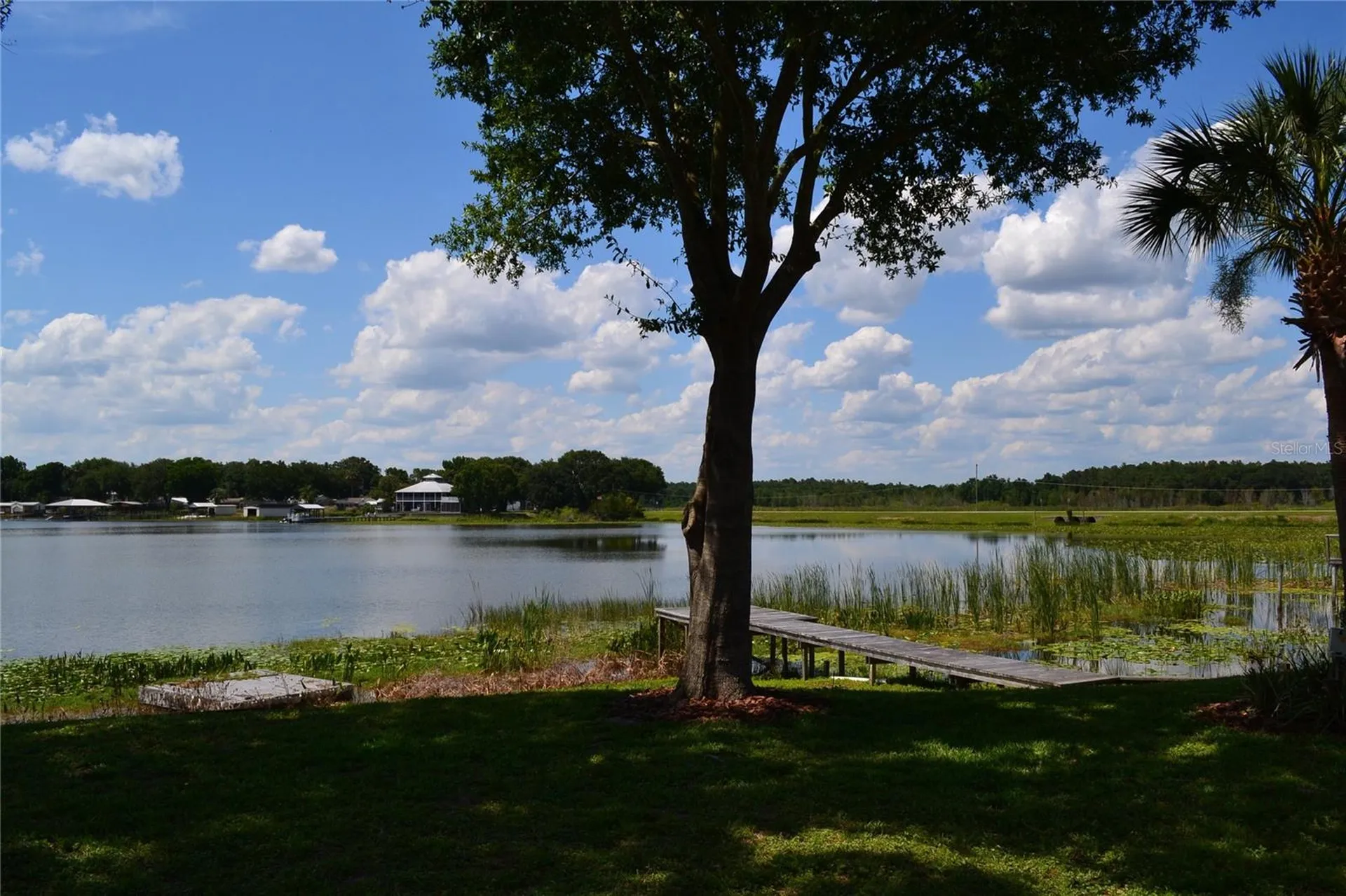 26 SE Ocale Way Summerfield FL 34491