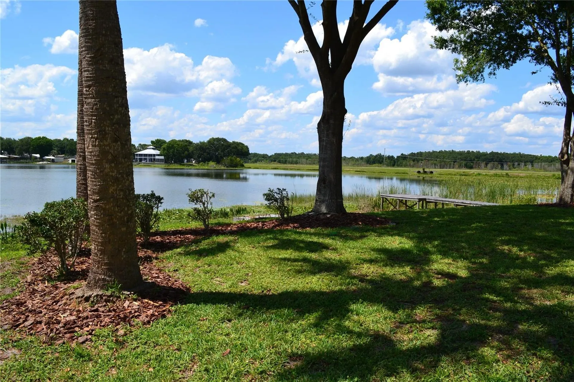 26 SE Ocale Way Summerfield FL 34491