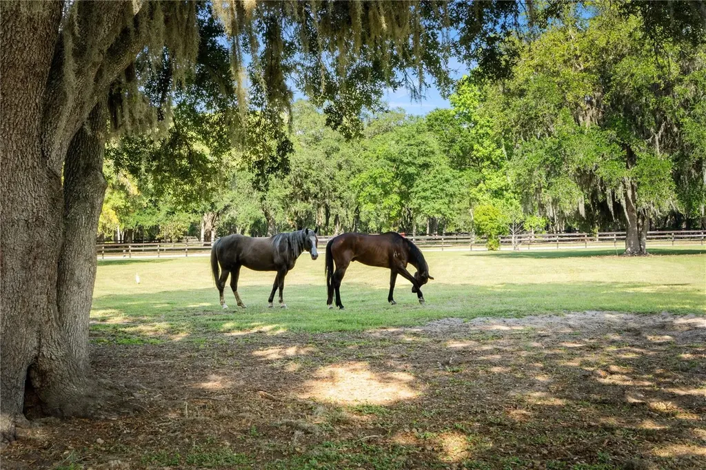 5901 Solana Street Elkton FL 32033