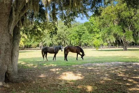5901 Solana Street Elkton FL 32033