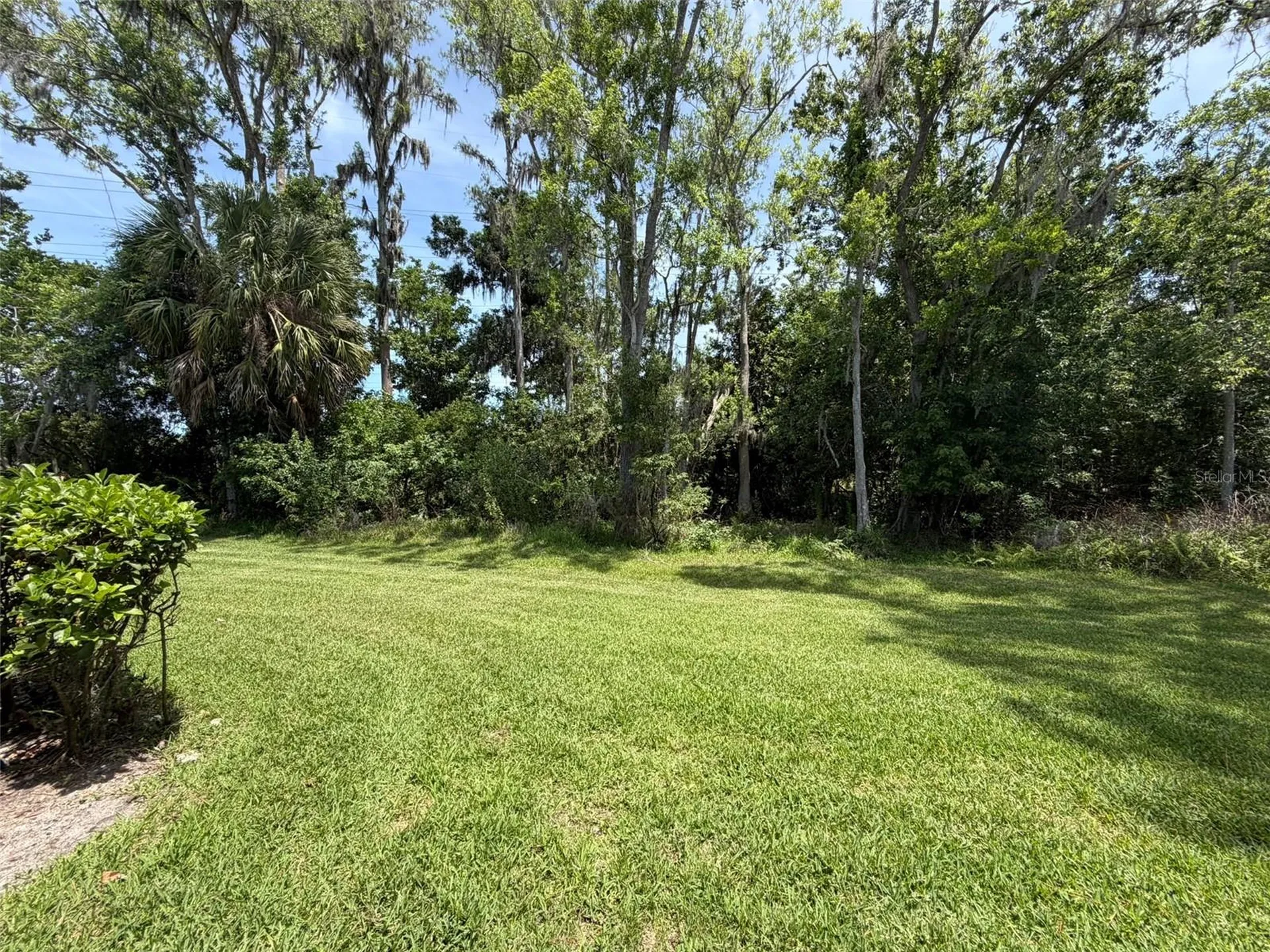 109 Nancy Drive Oldsmar FL 34677