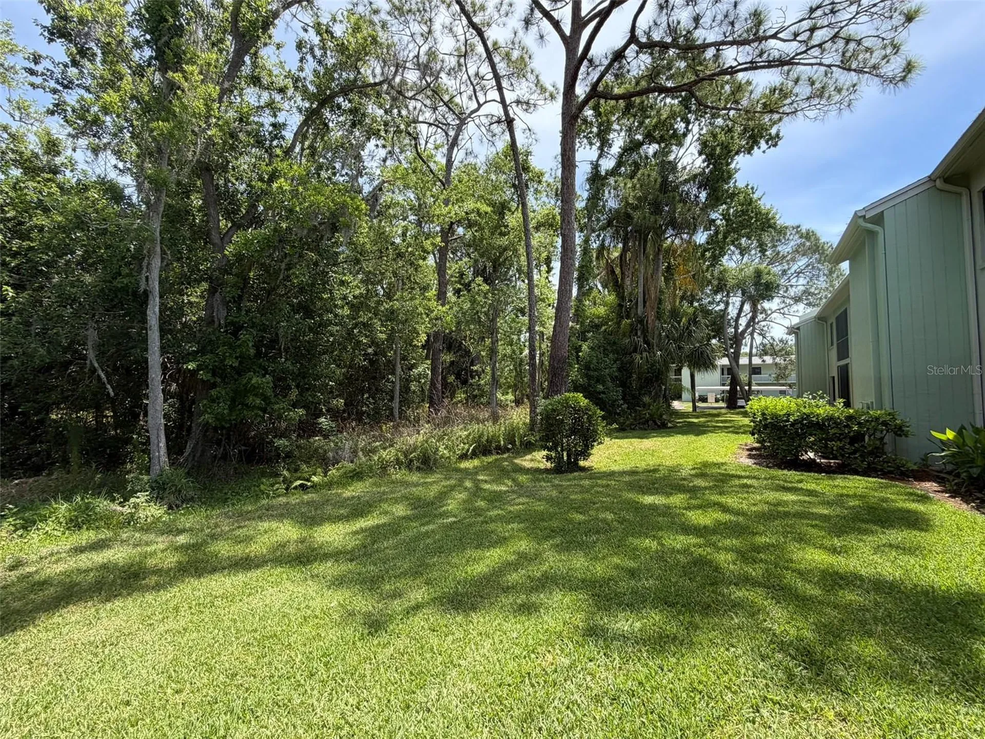 109 Nancy Drive Oldsmar FL 34677