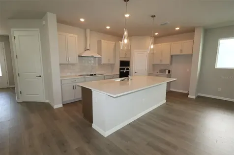 31051 Pendleton Landing Circle Wesley Chapel FL 33545