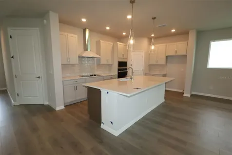 31051 Pendleton Landing Circle Wesley Chapel FL 33545
