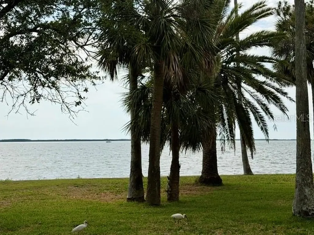 1700 Santa Barbara Drive Dunedin FL 34698