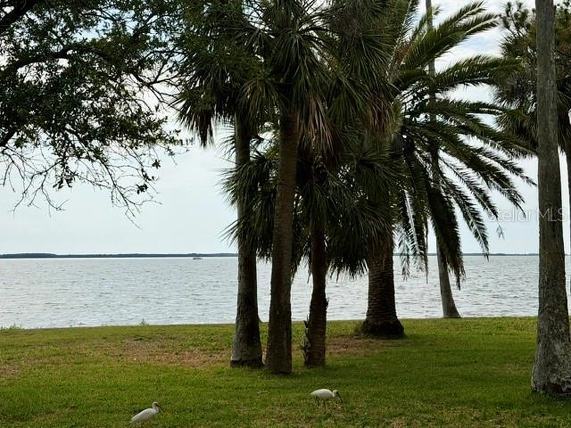 1700 Santa Barbara Drive Dunedin FL 34698