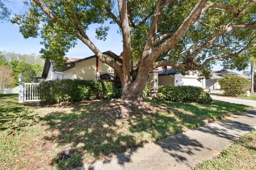 5243 Saltamonte Drive New Port Richey FL 34655