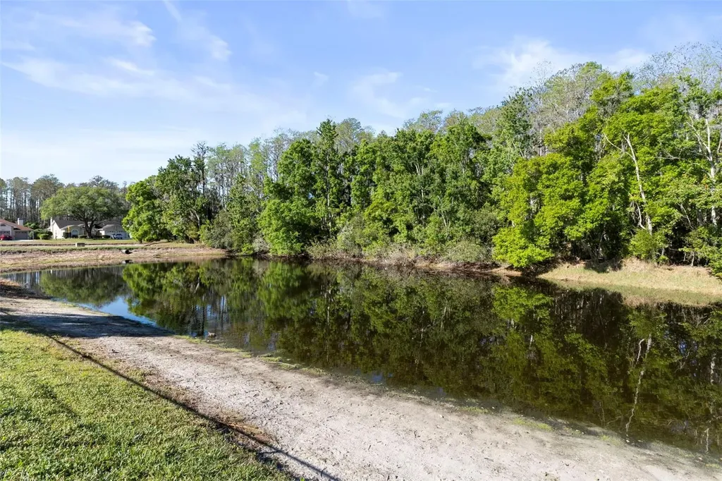 5243 Saltamonte Drive New Port Richey FL 34655