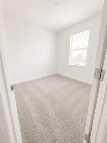 3115 Mindfullness Drive Clermont FL 34714