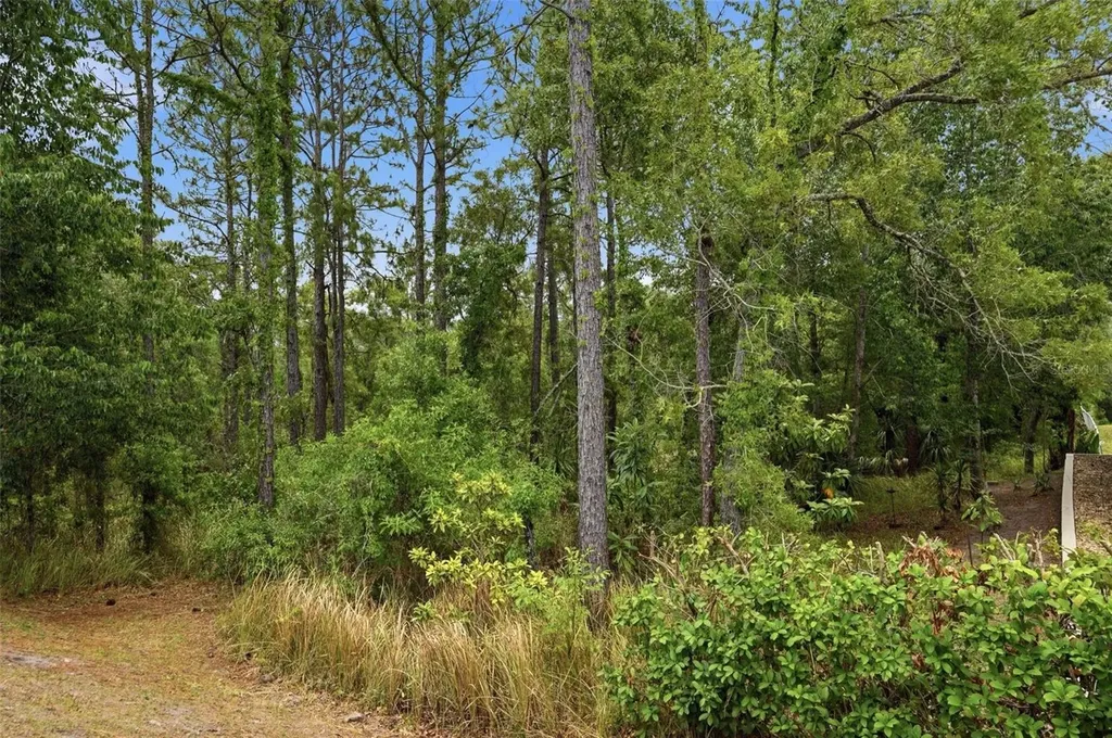 13897 Blythewood Drive Spring Hill FL 34609