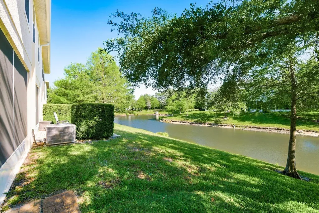 336 Harbor Ridge Drive Palm Harbor FL 34683