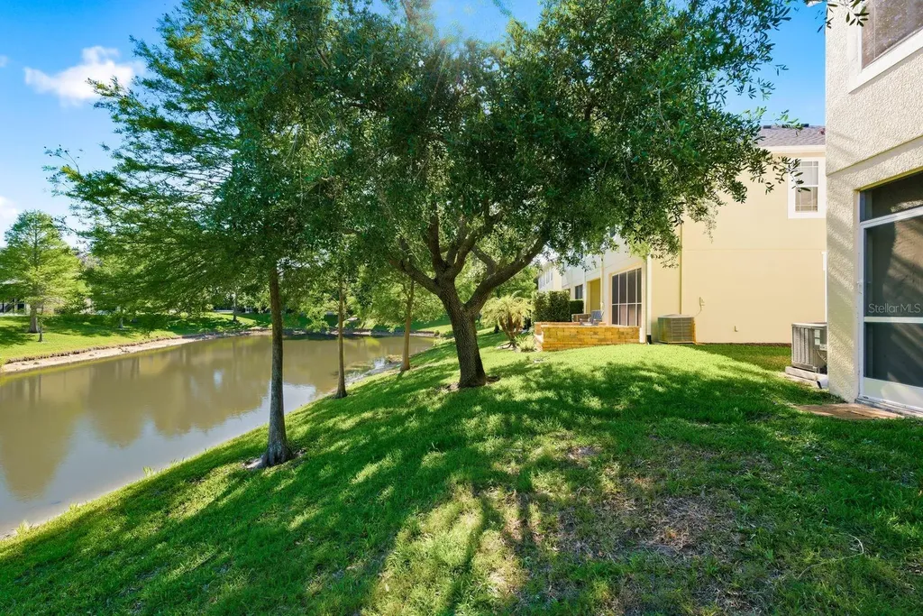 336 Harbor Ridge Drive Palm Harbor FL 34683
