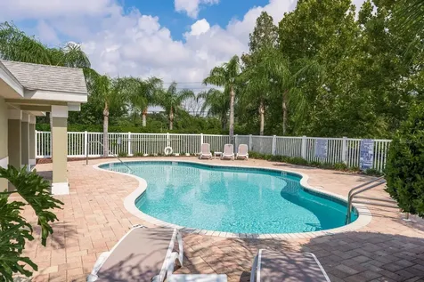 336 Harbor Ridge Drive Palm Harbor FL 34683