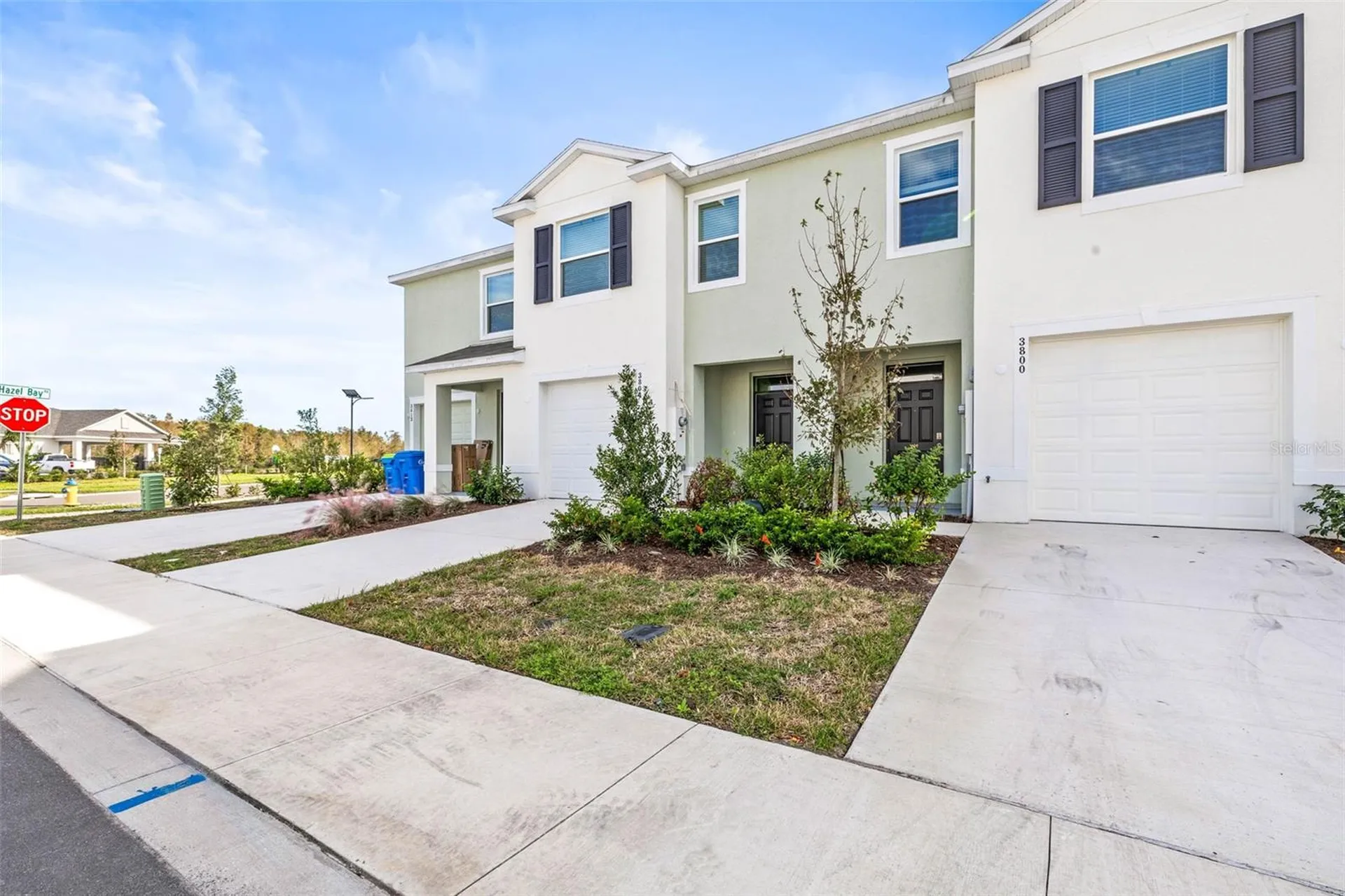 3804 Copper Beech Drive Land O Lakes FL 34638