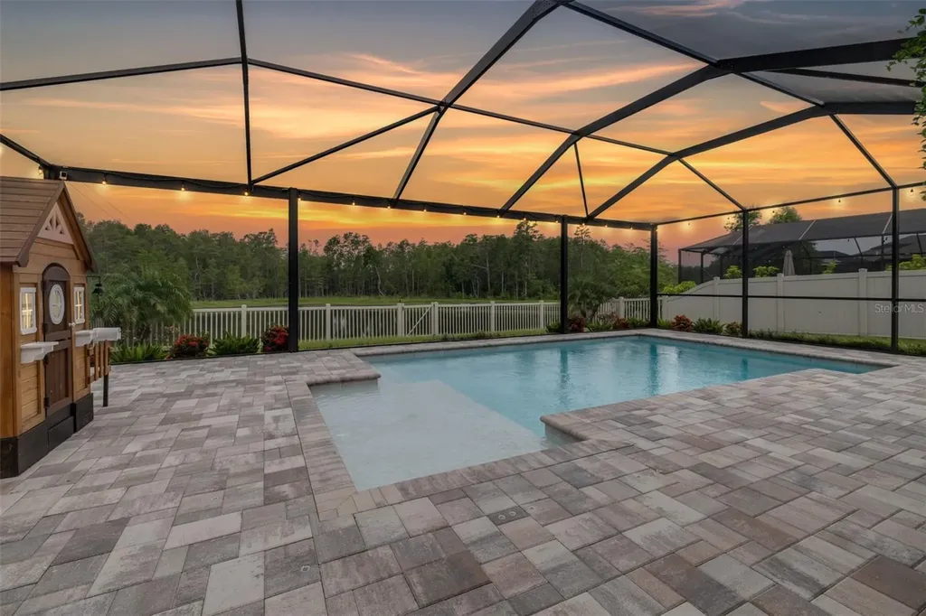 21896 Emory Oak Place Land O Lakes FL 34637