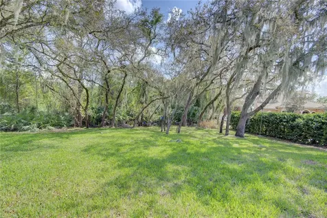 916 Mills Estate Place Chuluota FL 32766