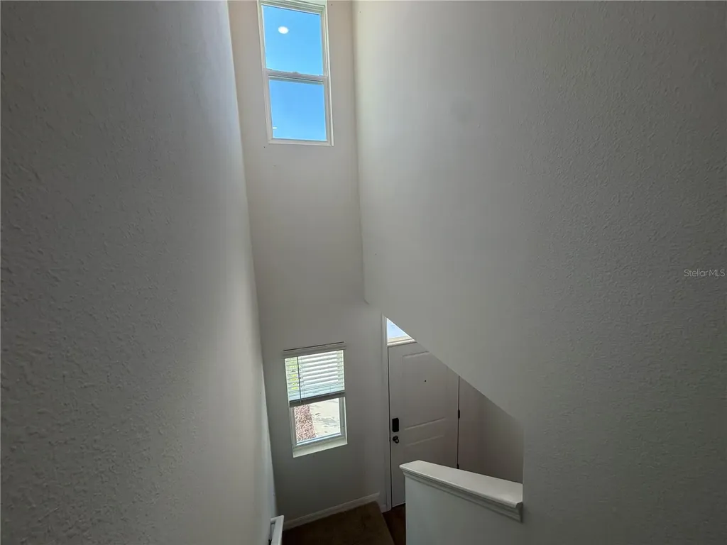 32538 Midsummer Night Lane Wesley Chapel FL 33543