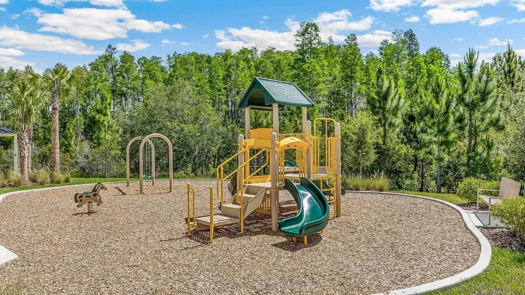 32538 Midsummer Night Lane Wesley Chapel FL 33543