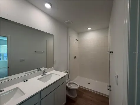 32538 Midsummer Night Lane Wesley Chapel FL 33543