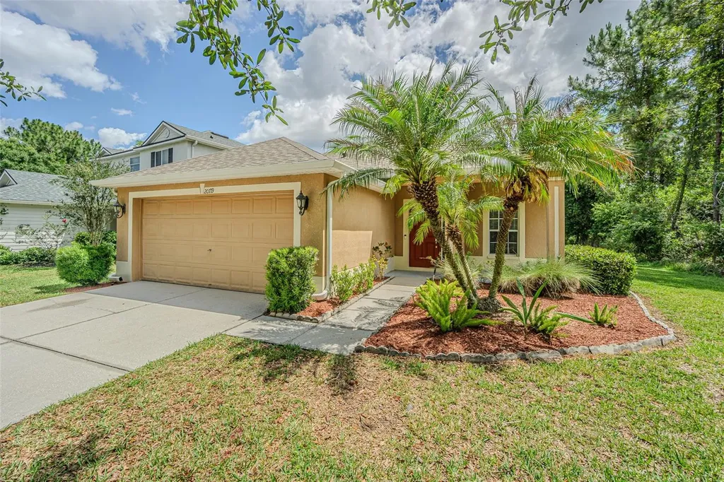 20719 Great Laurel Avenue Tampa FL 33647