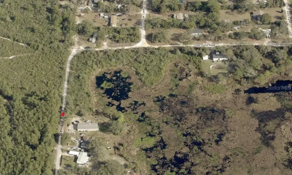Steward Road Eustis FL 32726