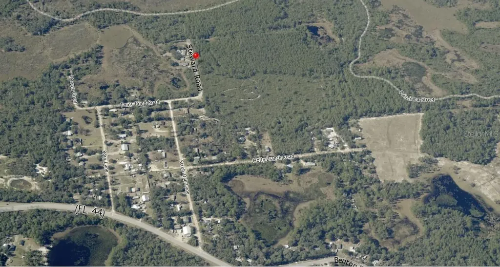 Steward Road Eustis FL 32726