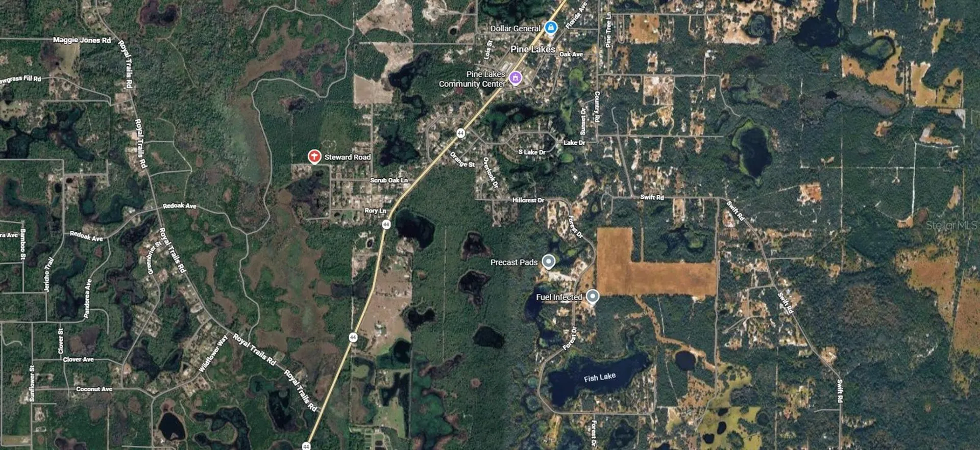 Steward Road Eustis FL 32726