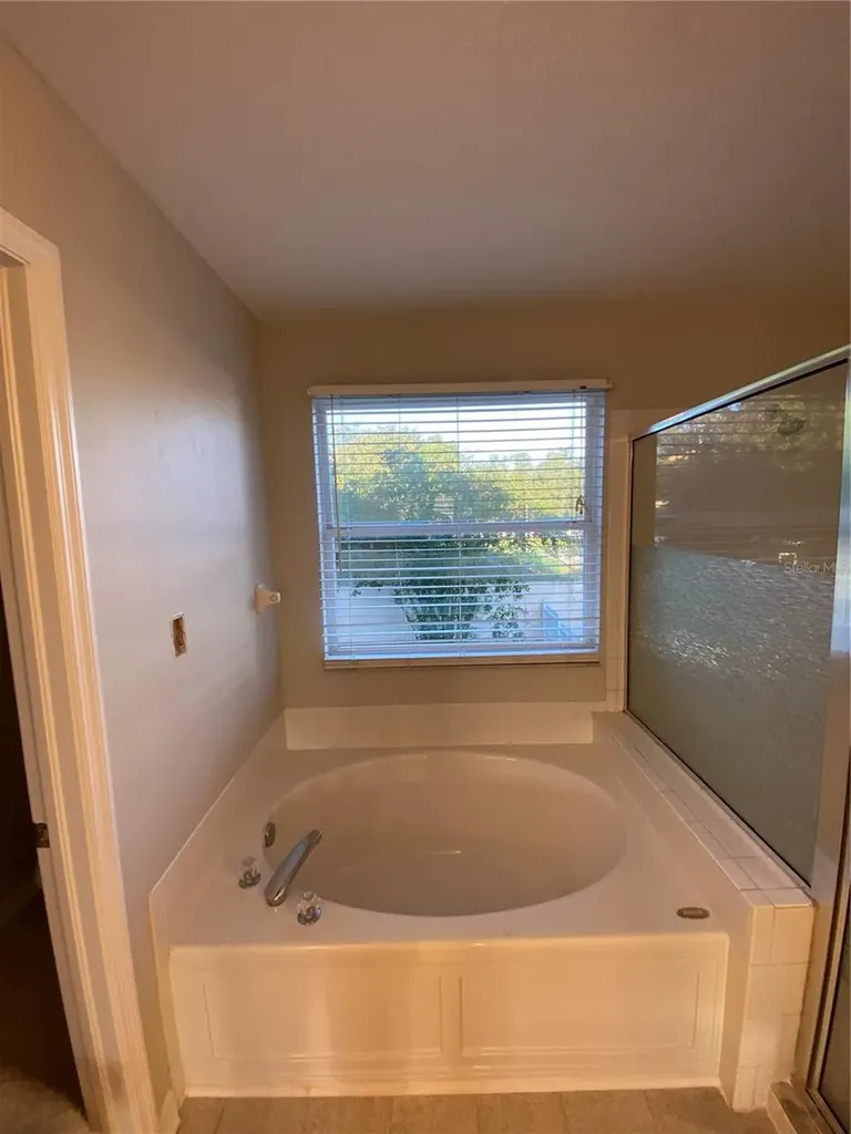 1231 Brooke View Drive Odessa FL 33556