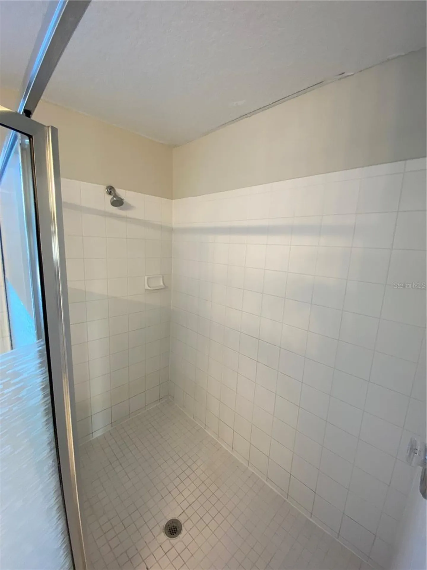 1231 Brooke View Drive Odessa FL 33556