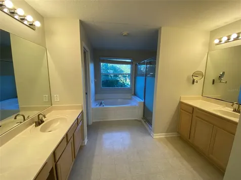 1231 Brooke View Drive Odessa FL 33556