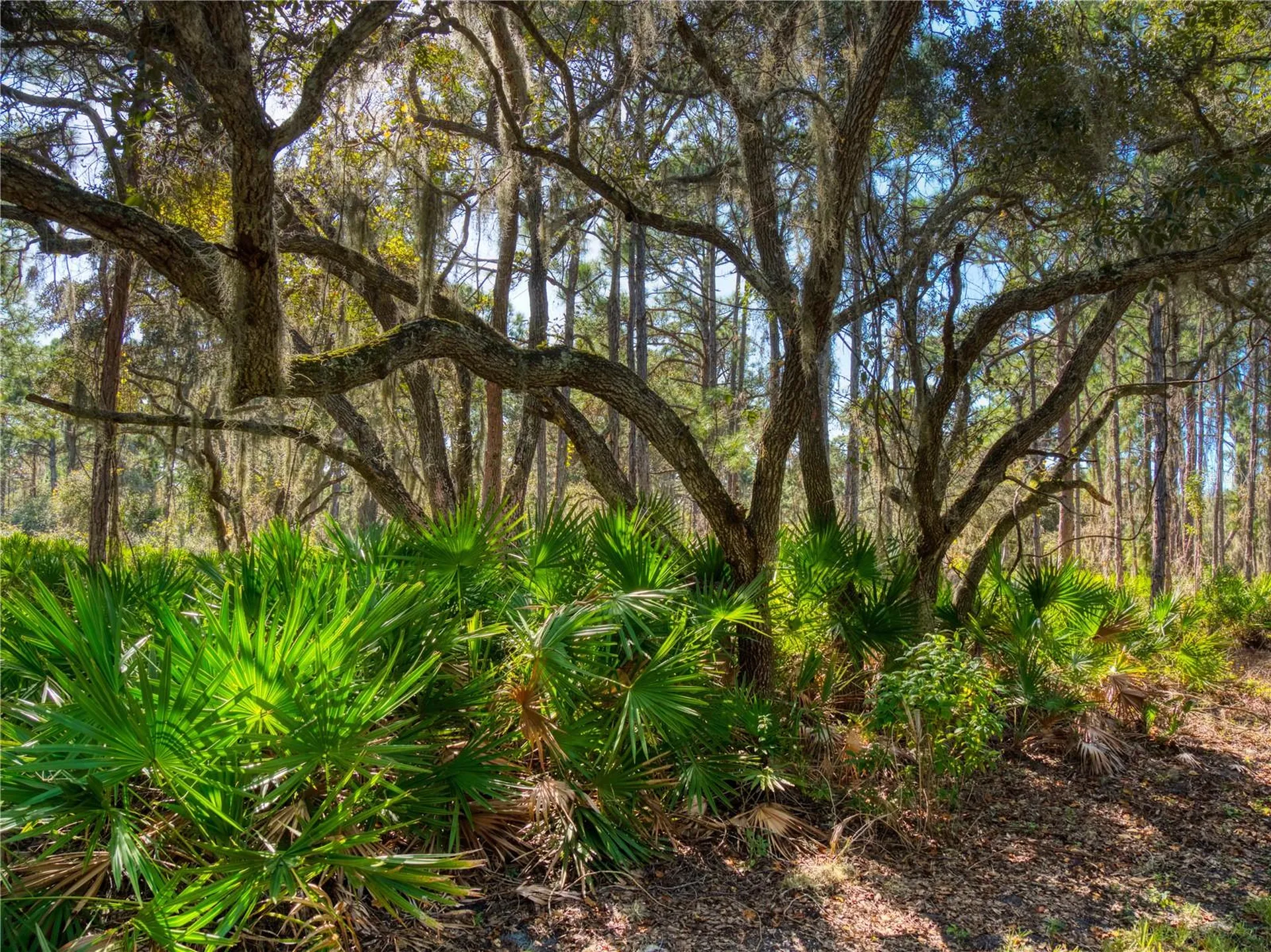 1711 Riverside Drive Englewood FL 34223