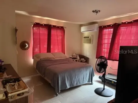 276 Rosa Sanchez Yabucoa PR 00767