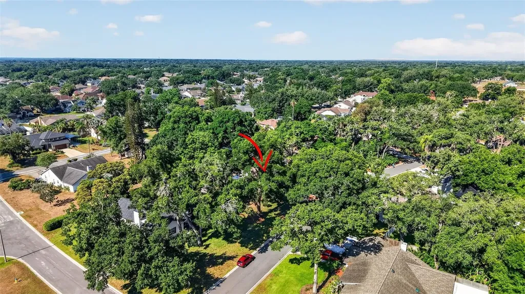 2713 Willow Oaks Drive Valrico FL 33594