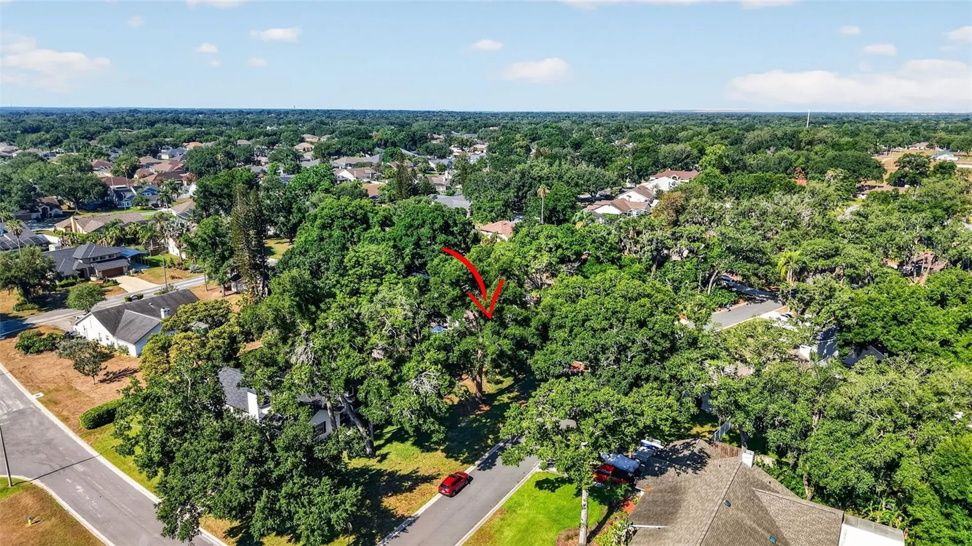 2713 Willow Oaks Drive Valrico FL 33594