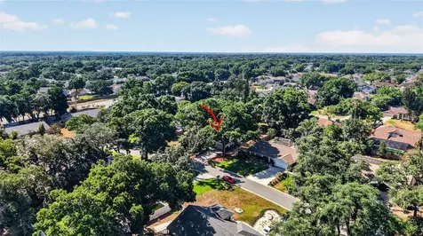 2713 Willow Oaks Drive Valrico FL 33594