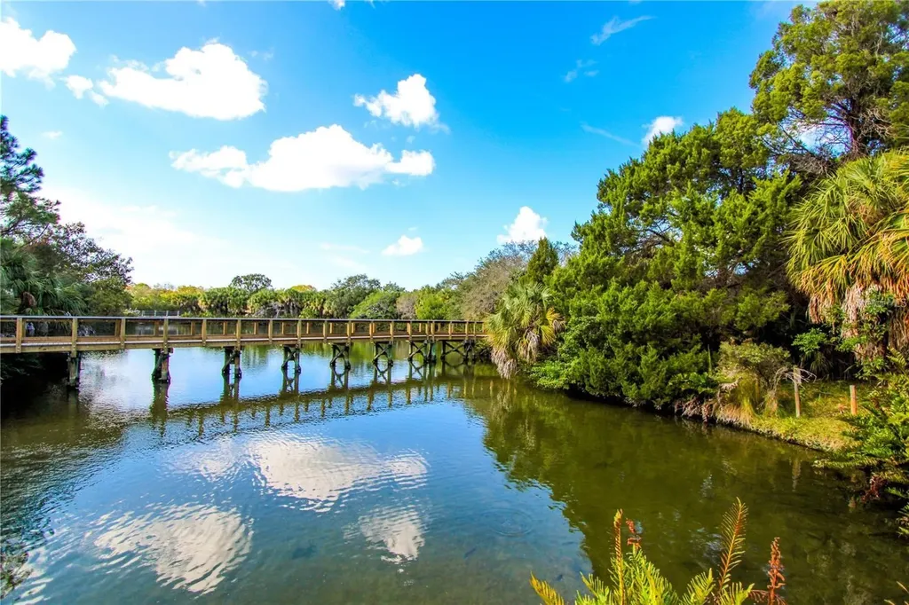 3710 De Soto Boulevard Palm Harbor FL 34683