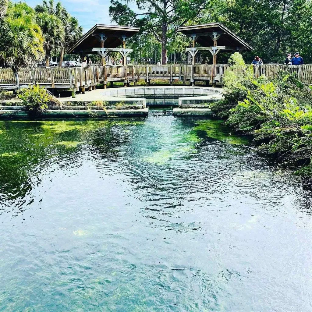 3710 De Soto Boulevard Palm Harbor FL 34683
