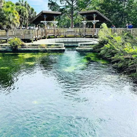 3710 De Soto Boulevard Palm Harbor FL 34683