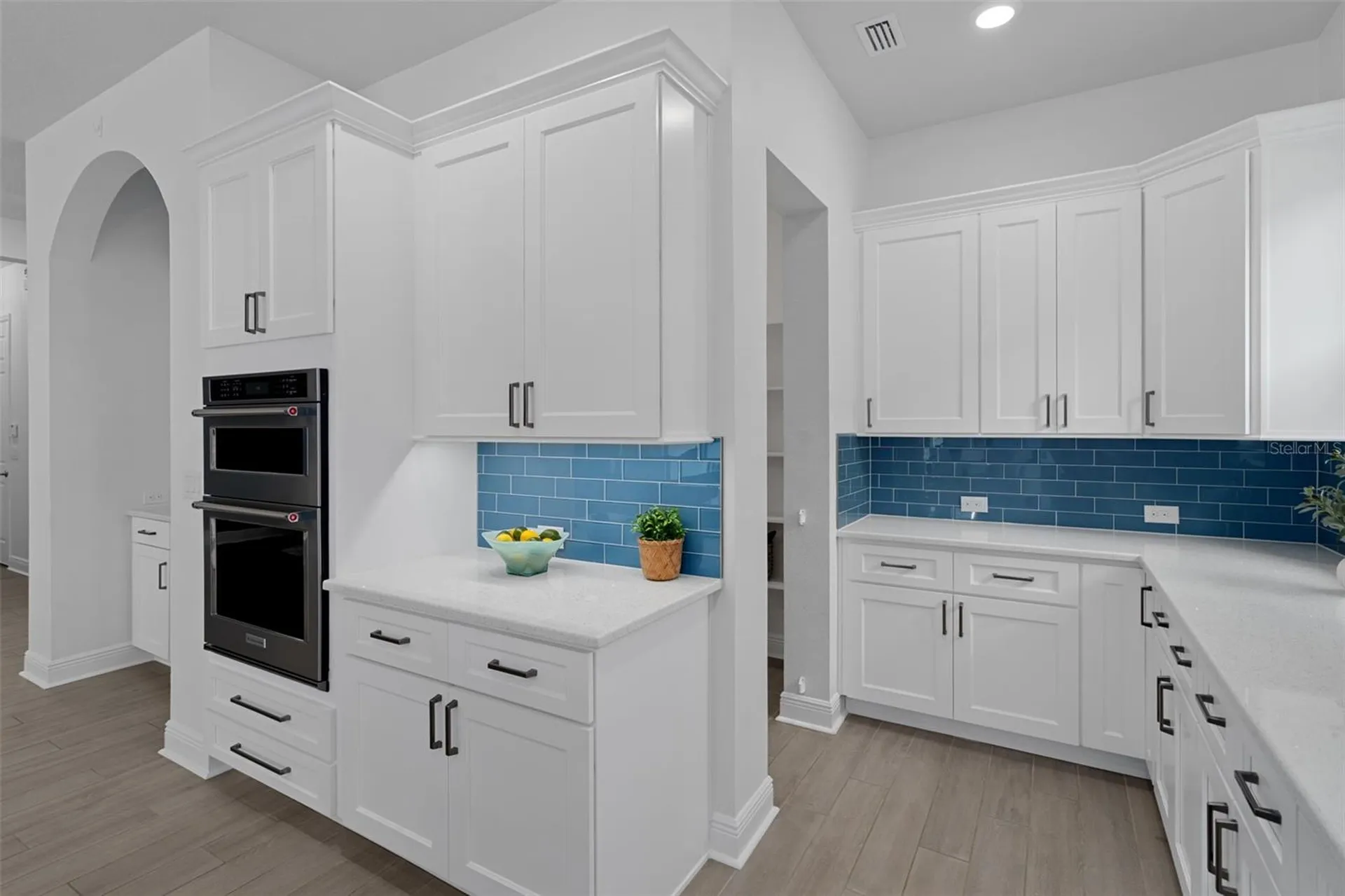 16691 Vibrato Lane Land O Lakes FL 34638