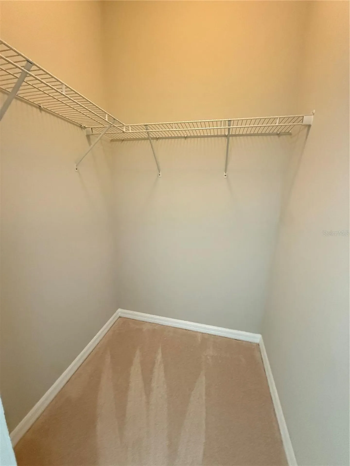 14637 Maple Arch Lane Winter Garden FL 34787