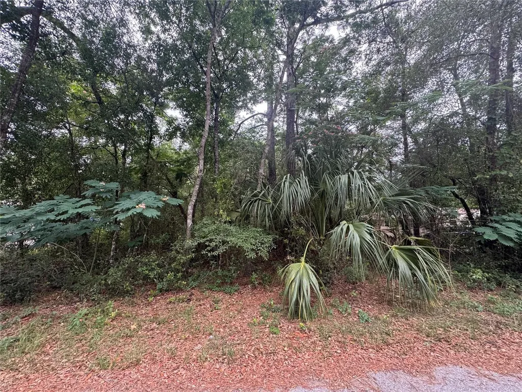3462 E Michael Street Inverness FL 34453