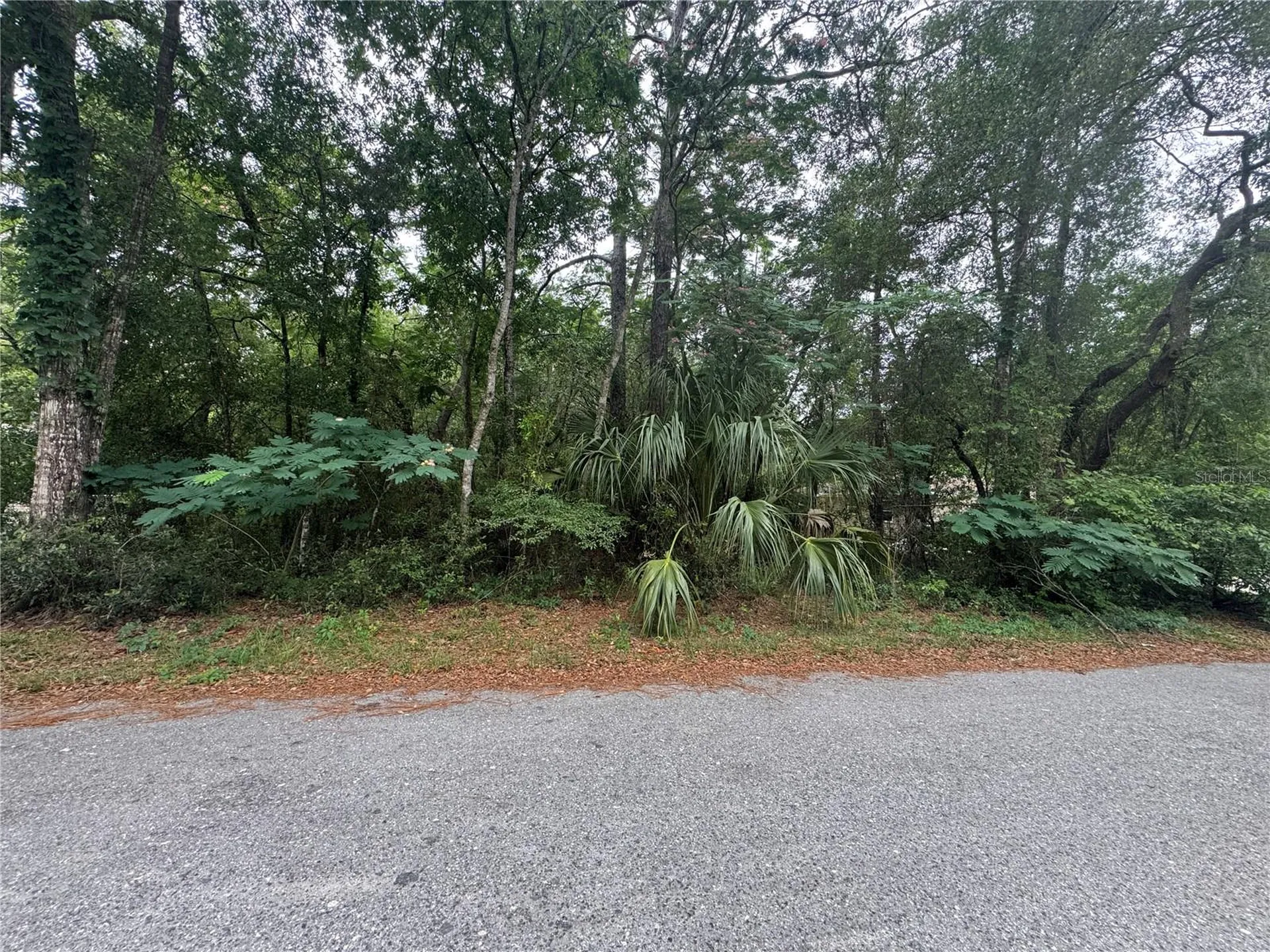 3462 E Michael Street Inverness FL 34453