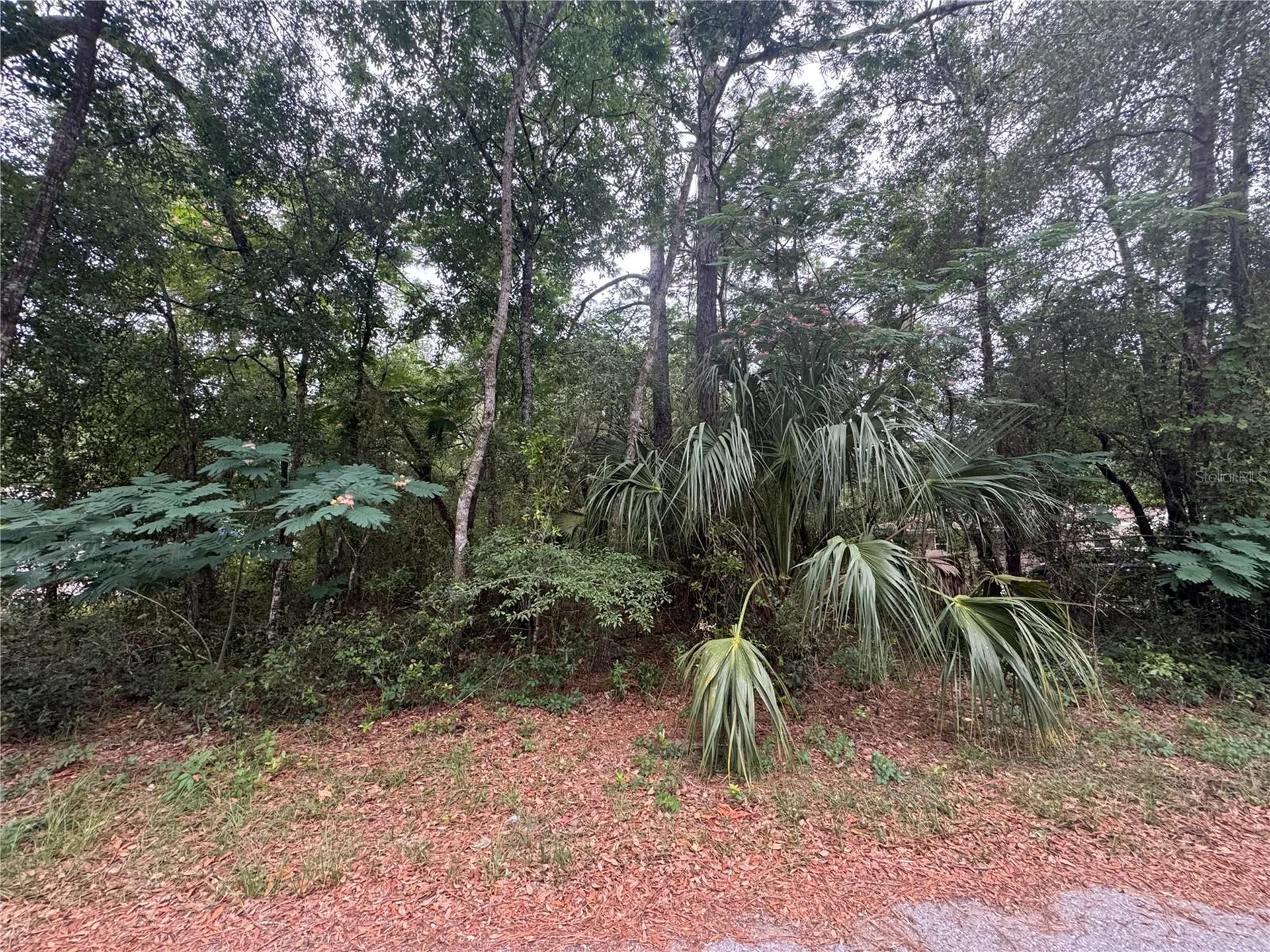 3462 E Michael Street Inverness FL 34453