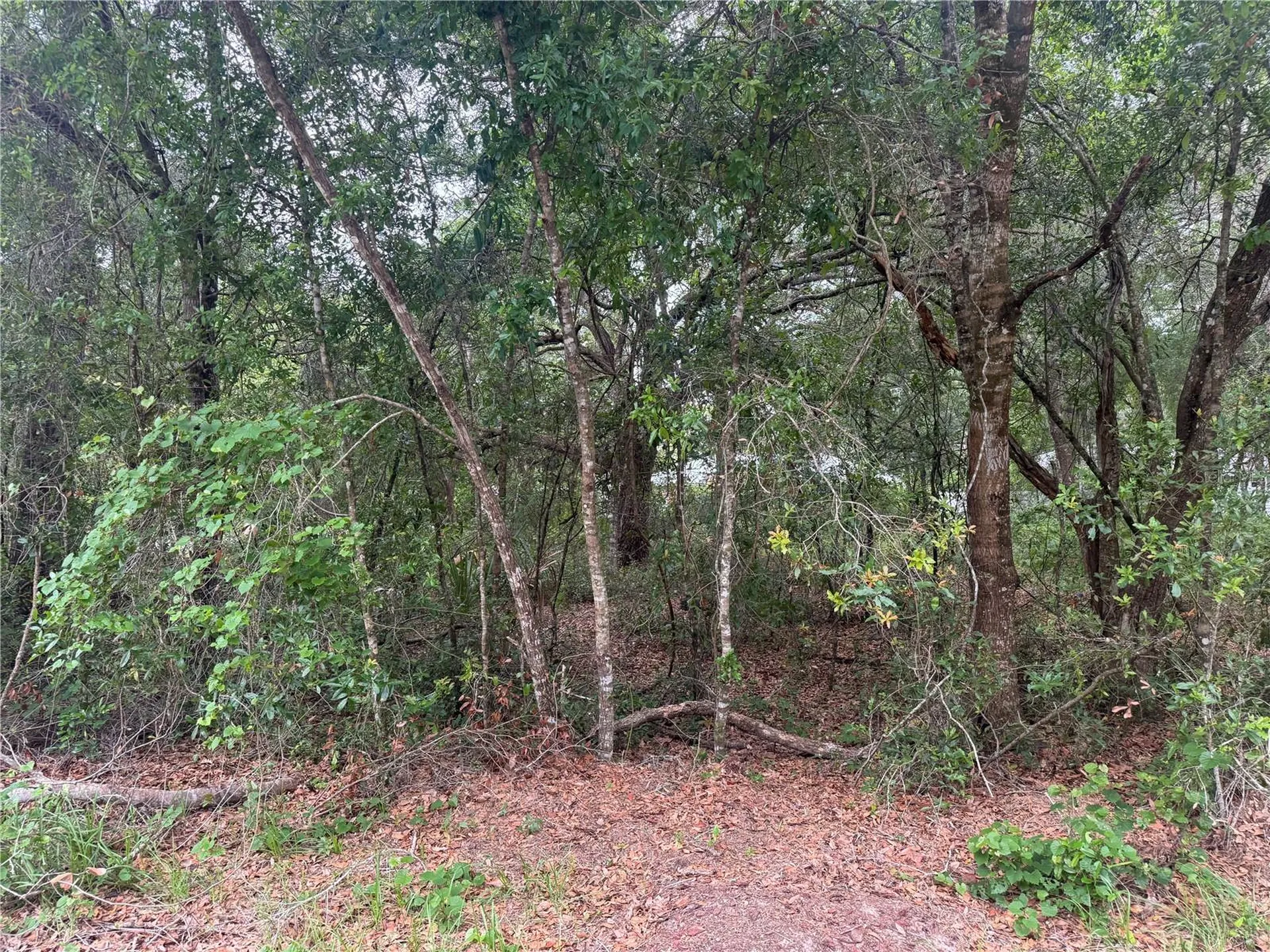 3462 E Michael Street Inverness FL 34453