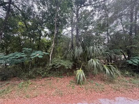 3462 E Michael Street Inverness FL 34453