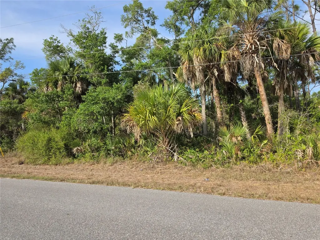 1193 Hammacher Lane Port Charlotte FL 33953